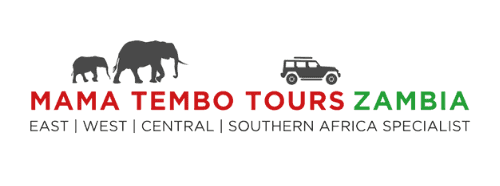 Mama Tembo logo ssquare