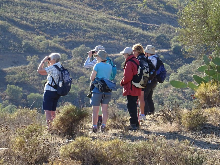 walking women UK at lookout