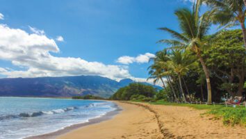 Hawaii Tour and Cruise Womens Travel club