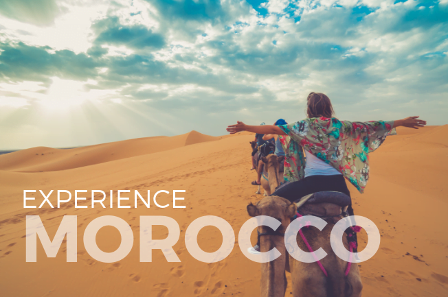 Mosaic of Wild Morocco