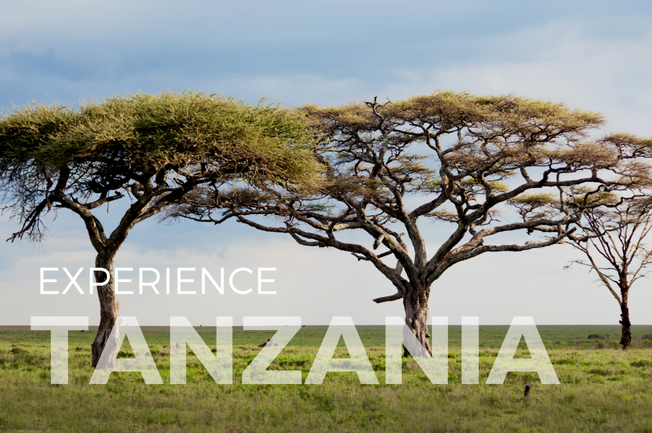 Tanzania Trek & Safari