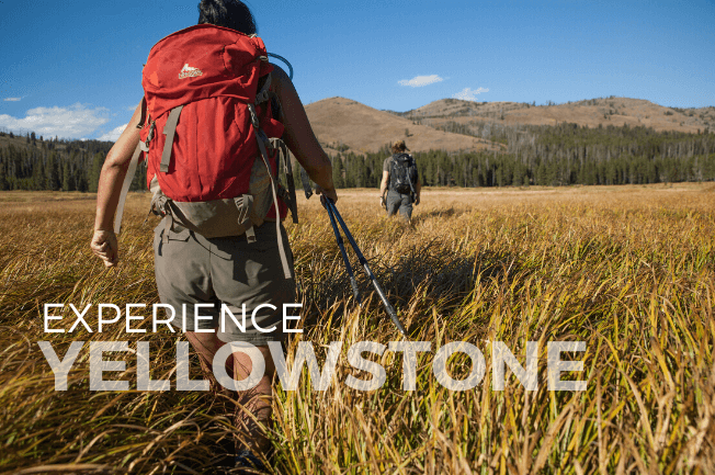Yellowstone Active Adventure