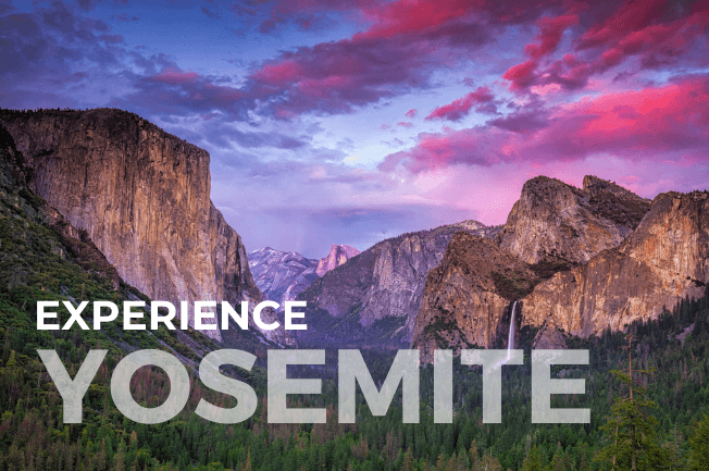 Yosemite National Park Adventure