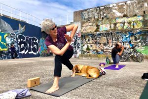 Jeni Martinez, Global Yoga Trips LLC