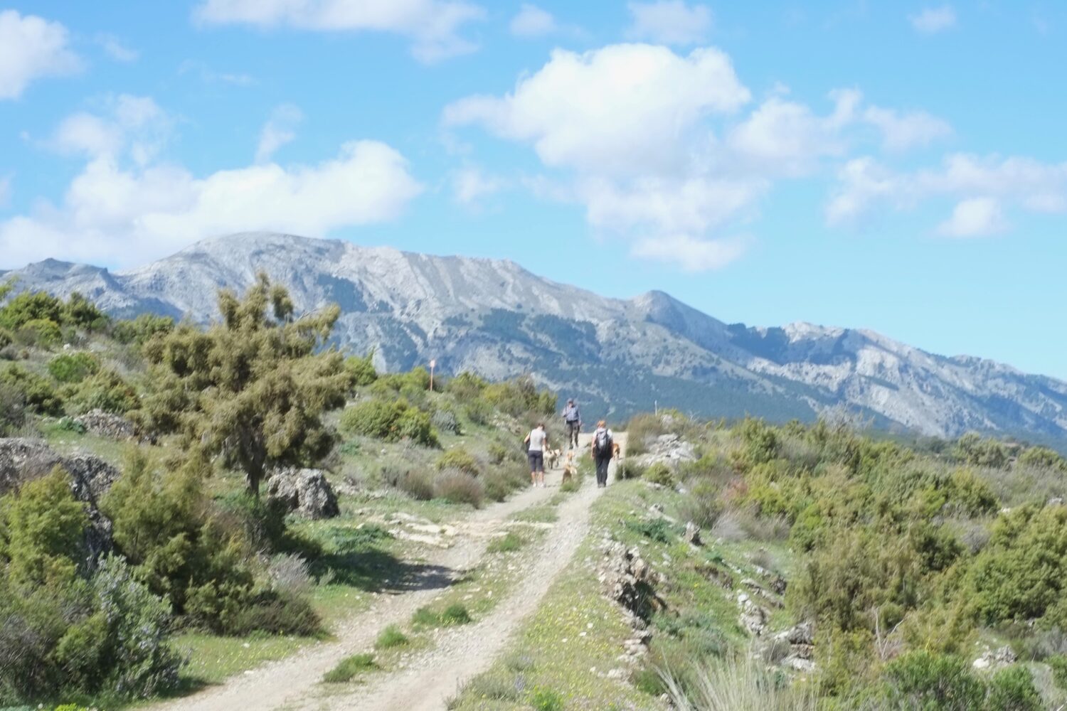 Scenic view of hiking trail in Andalucia, Spain with mountains in the distance