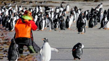 Falklands, South Georgia, the Antarctic - Wild Women Expeditions
