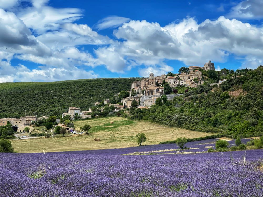 Provence Lavender and Travel Photography Tour