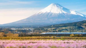 Mt Fuji and bullet train - Japan - Trafalgar