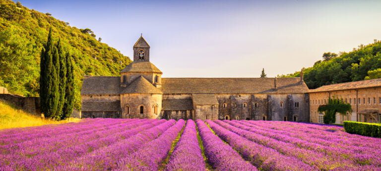 Lavender & Life Coaching in Provence