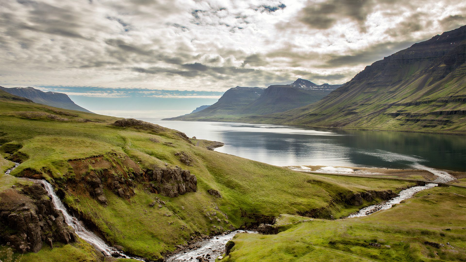 Scenic view of Iceland's dramatic coastline featuring lush green hills, cascading streams, and a serene fjord.