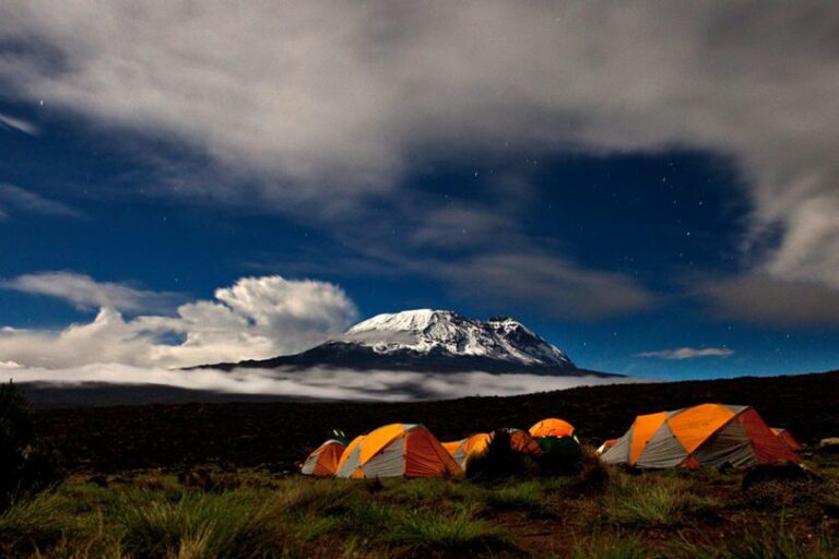 Mt. Kilimanjaro: Trek to the Roof of Africa