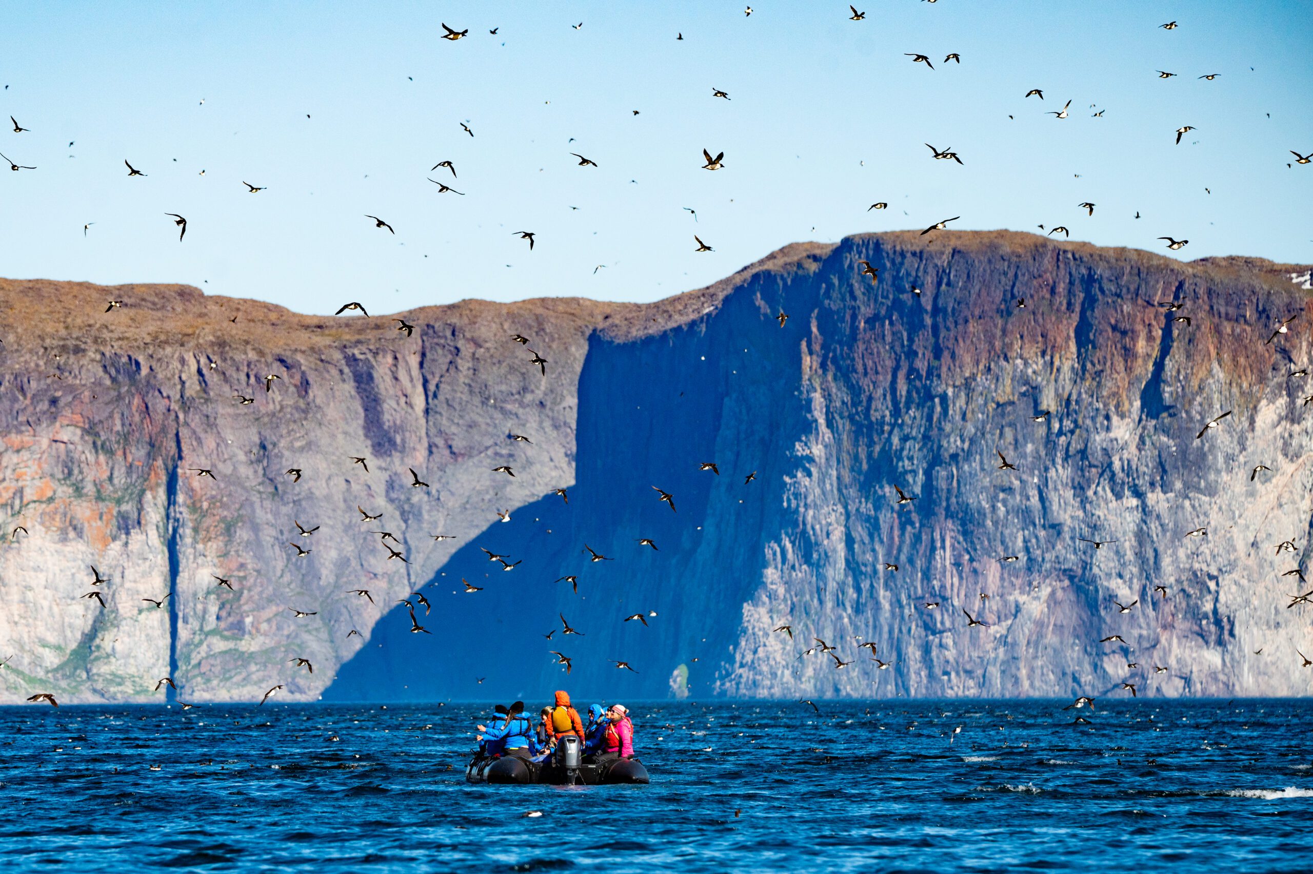 Group of people in a small inflatable boat on the ocean, surrounded by a flurry of seabirds with towering, rugged cliffs in the background.