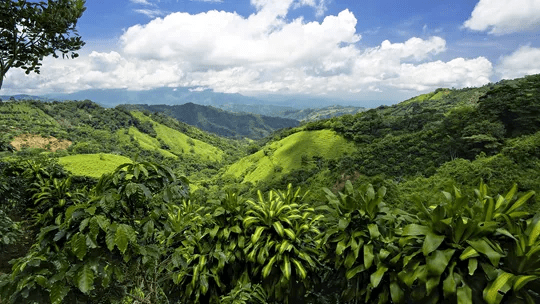 Costa Rica Eco Adventure - Trafalgar Travel