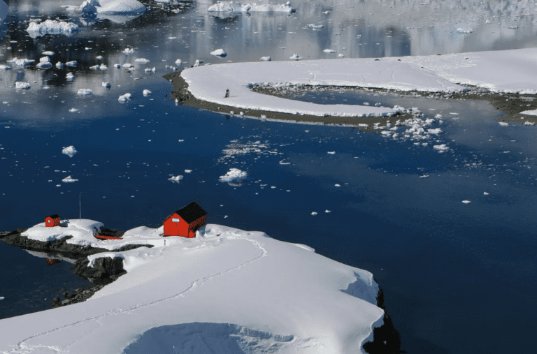 Weddell Sea Discovery