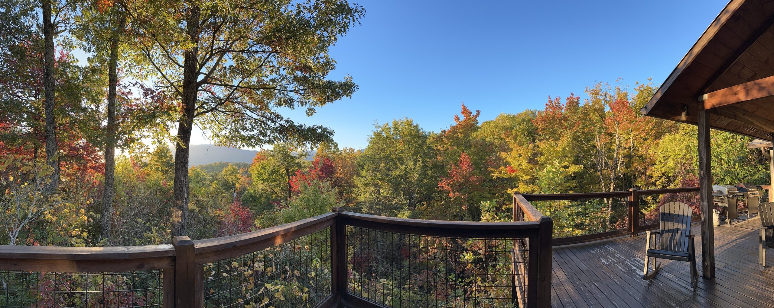 View of the forest from a lookout tower - Fall in the Great Smokies - Adventures in Good Company