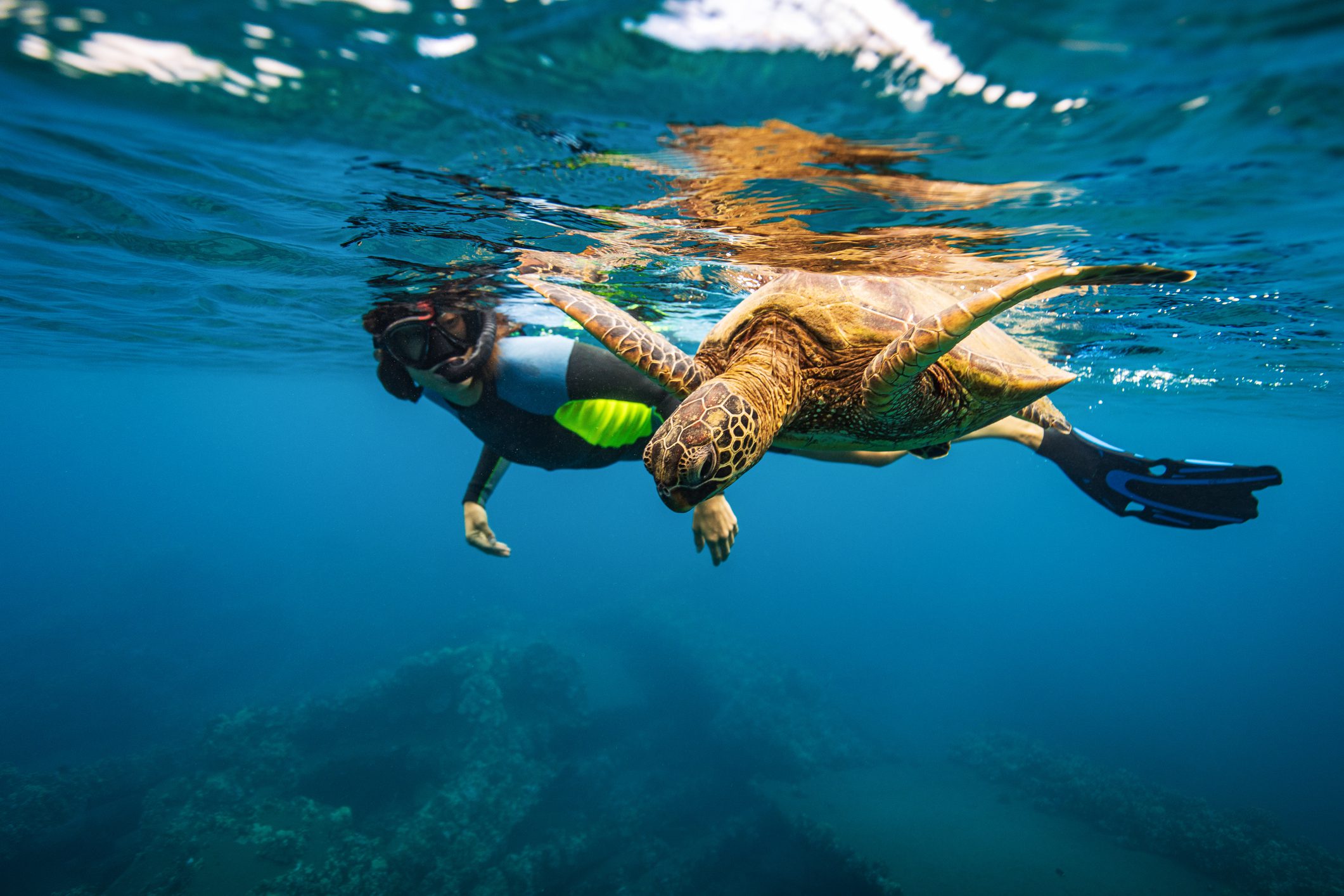 View of a woman snorkling with a sea turtle on Galápagos Islands: Wildlife Cruise by Private Yacht by AdventureWomen.