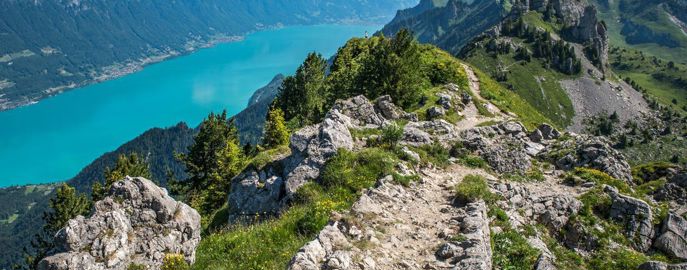 A rocky trail on a hill overlooks the blue ocean below on the Wanderlust Women Hiking Tour of the Swiss Alps.