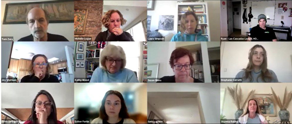 Zoom call with Women's Travel Directory partners