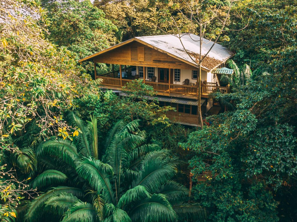 A treehouse lodge nestled among the verdant forest in Panama - Tranquilo Bay - Safe place for women to stay