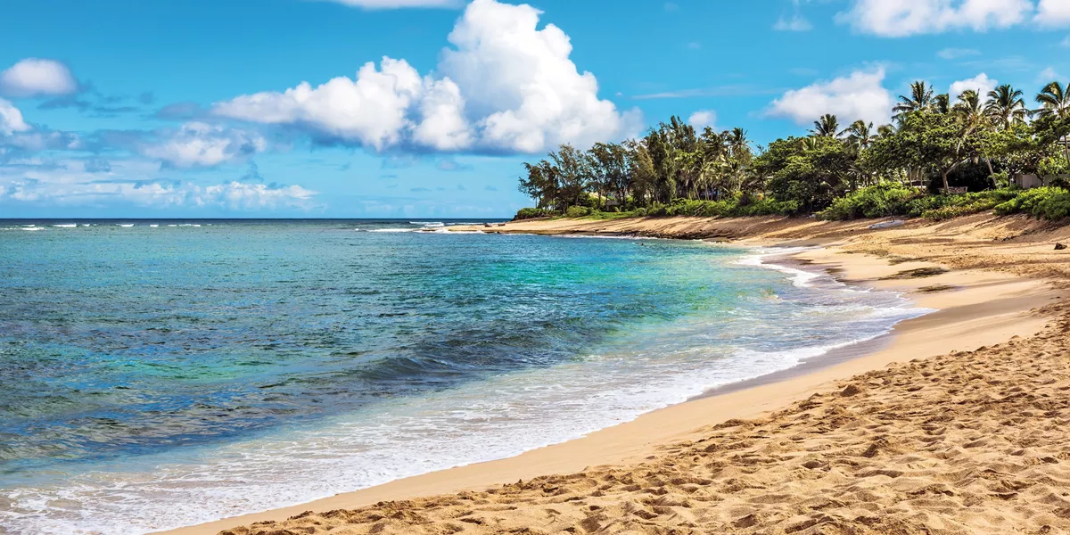 The Lush Tropics of Hawaii - HAWAII WITH OAHU & MAUI - Insight Vacations