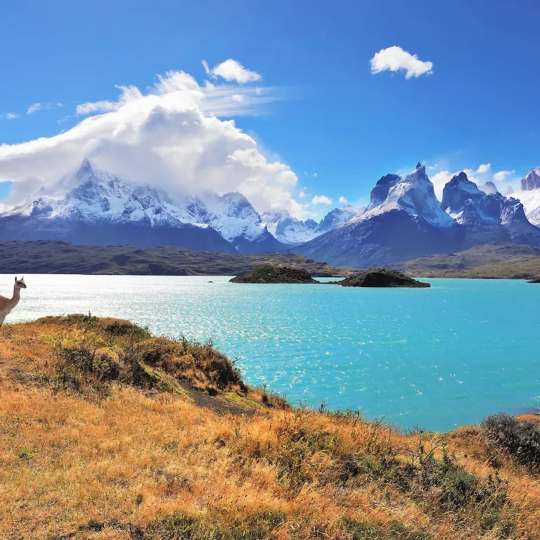 Wonders of Patagonia
