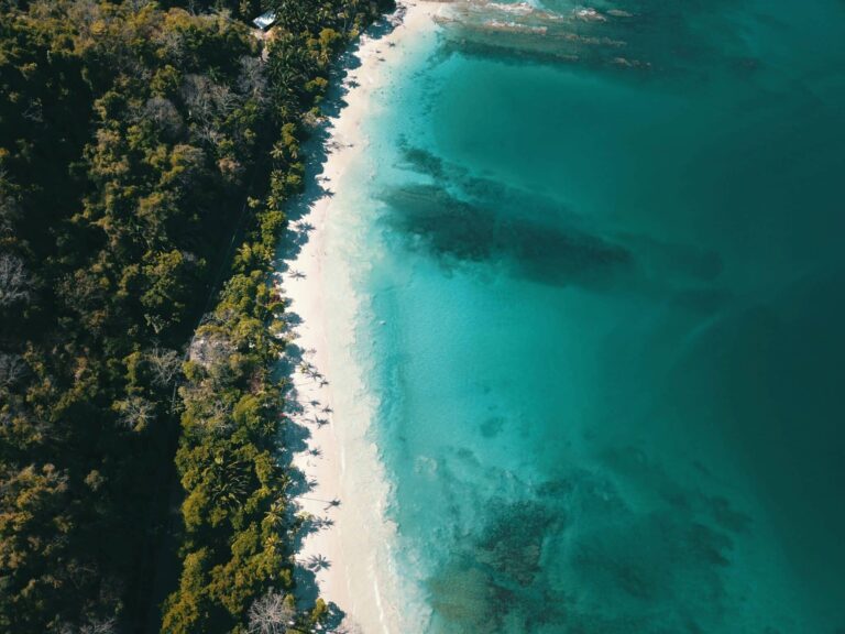 An aerial view of Punta León, showcasing its rugged coastline, sandy beaches, and pristine ocean waters.