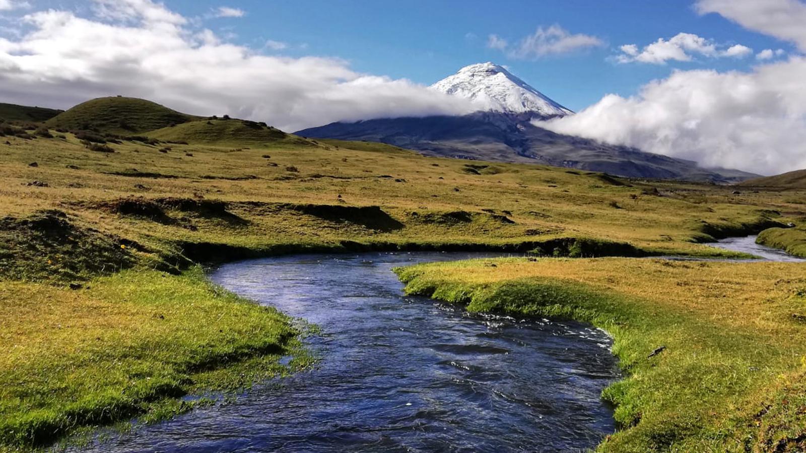 Snow-capped volcano in the background with a clear blue sky.