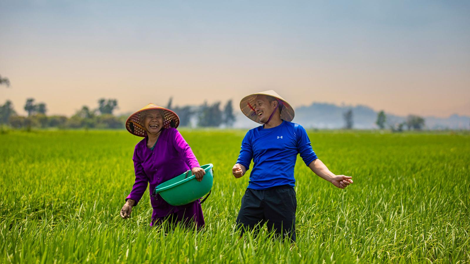 Two smiling individuals wearing traditional conical hats work together in a vibrant green rice field under a clear sky.