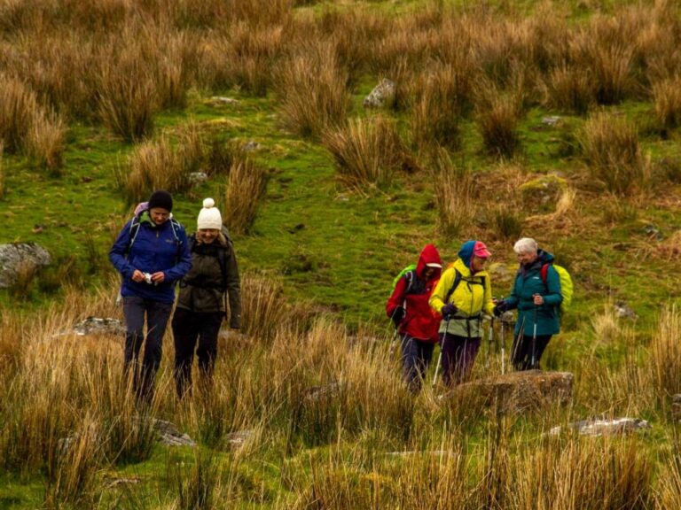 A group of hikers during our summer holiday enjoying the outdoors.