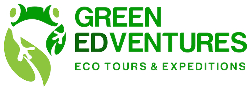 Green Edventures Logo