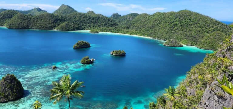 Wajag Island, Raja Ampat, Indonesia