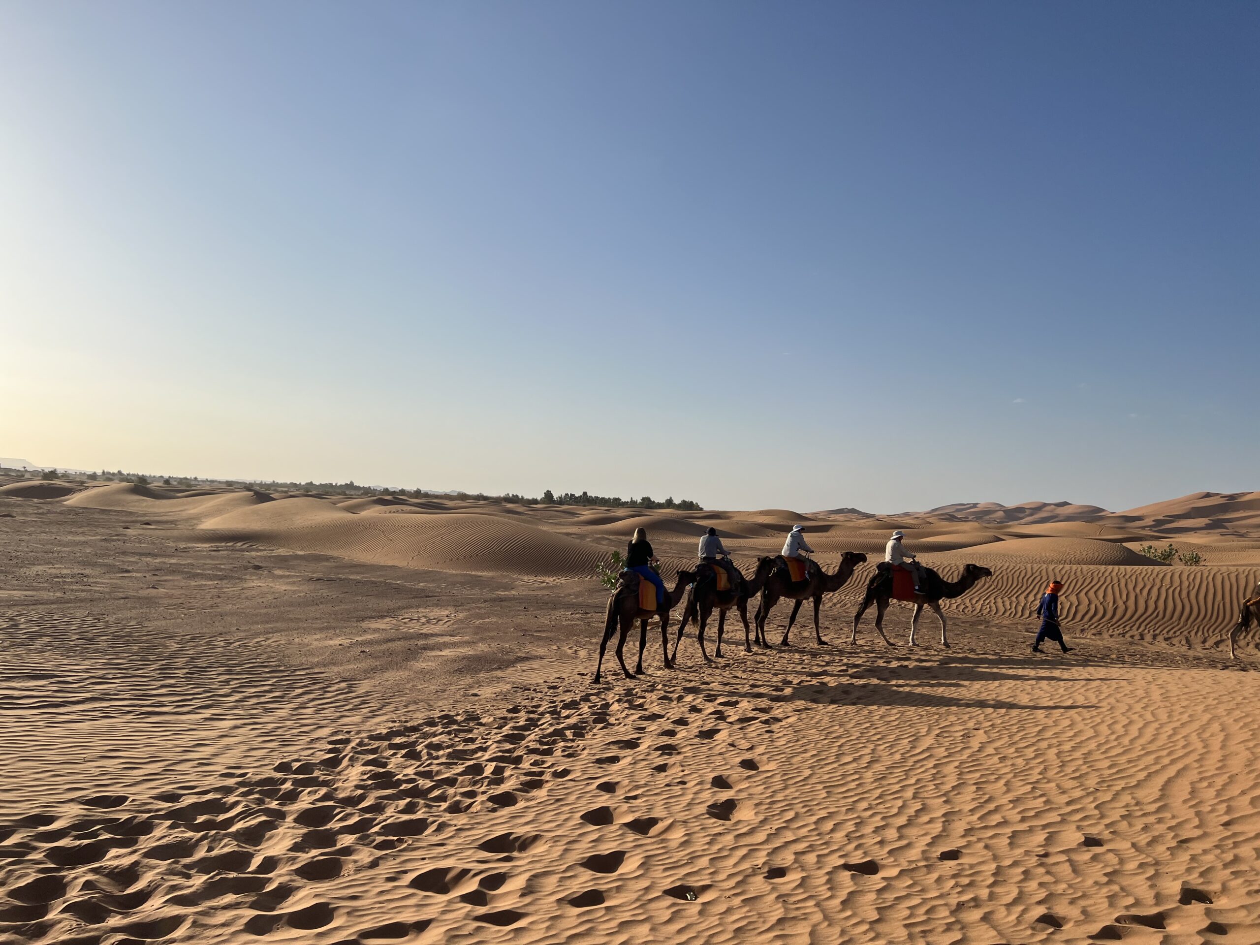 CVO_3KN_Sahara camel ride