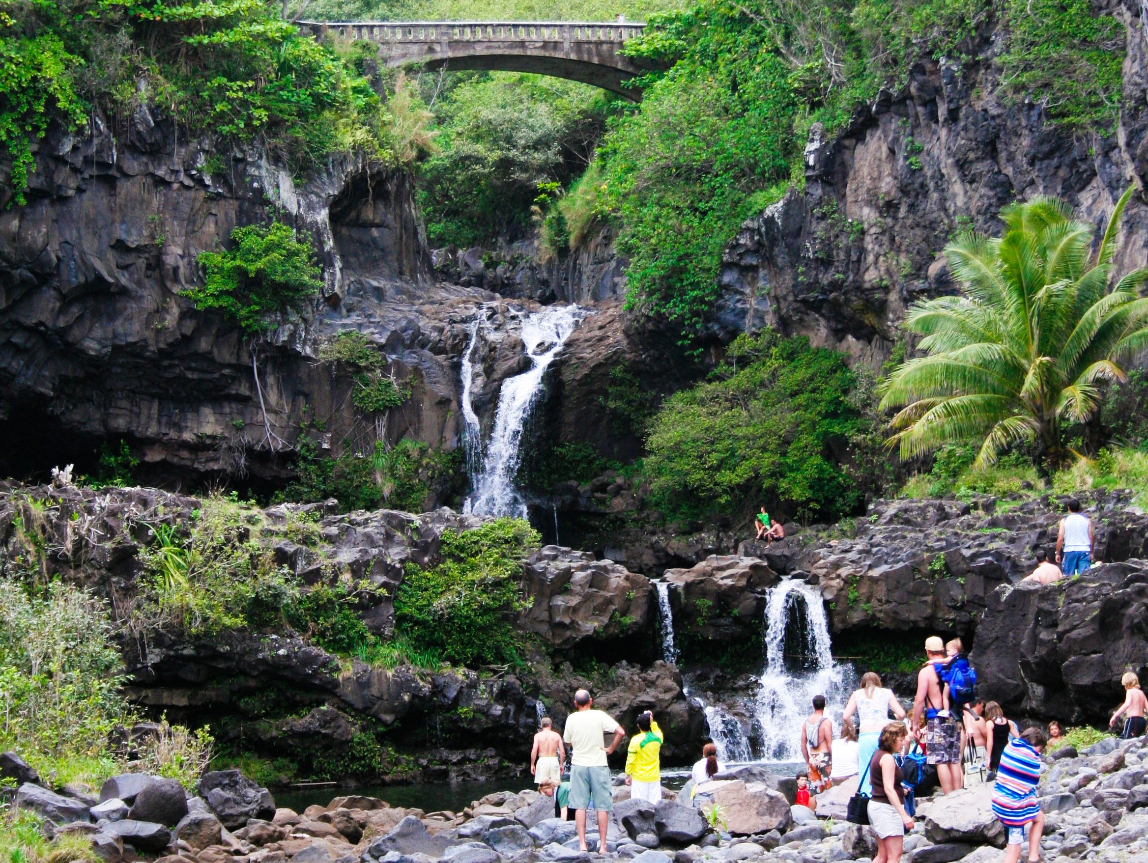 PolynesianAdventures (12)_VEN_25442