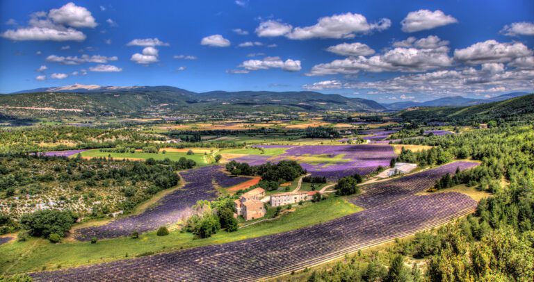 Cycle Provence