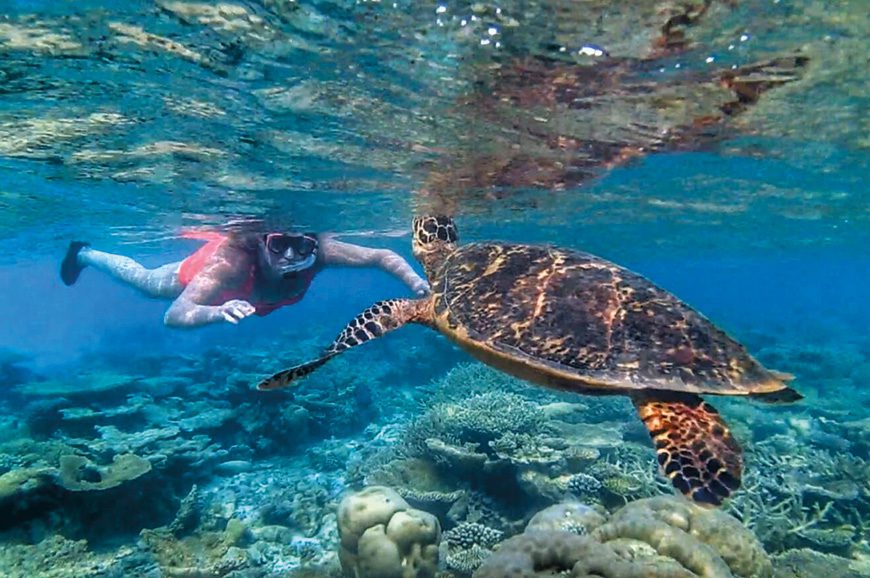 A woman snorkels with a sea turtle in San Cristobal, part of the Natural Wonders of Ecuador and the Galapagos tour by Just You.