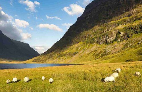 A vista in the Scottish Highlands, a potential view on the Scotland: Hiking the Highlands tour with Bold Spirit Travel.