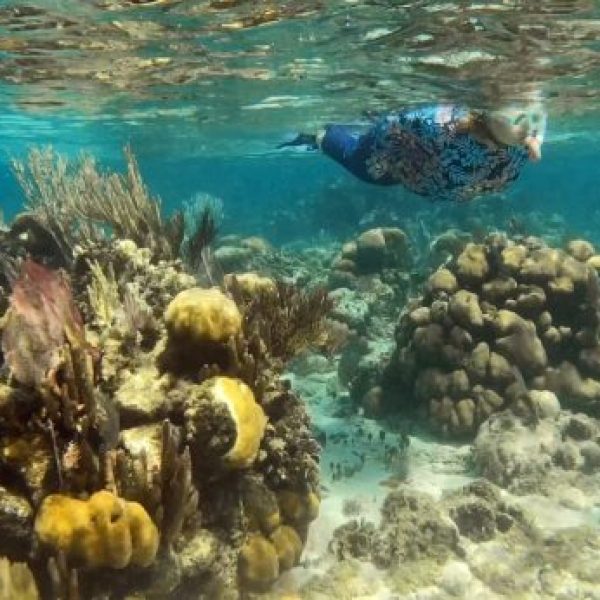 Women snorkeling in the clear turquoise waters off the beaches of Roatán, Honduras