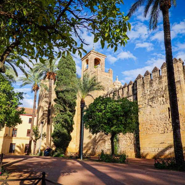 Highlights of Andalucia