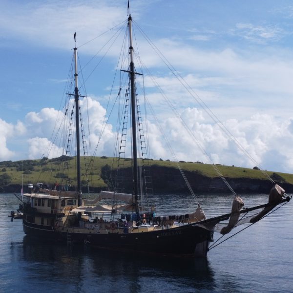 Catamaran for the Liveaboard Scuba Diving trip in Indonesia.