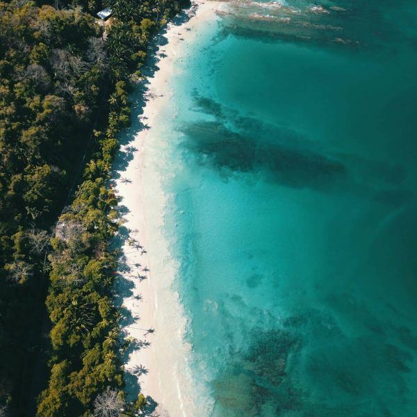 An aerial view of Punta León, showcasing its rugged coastline, sandy beaches, and pristine ocean waters.