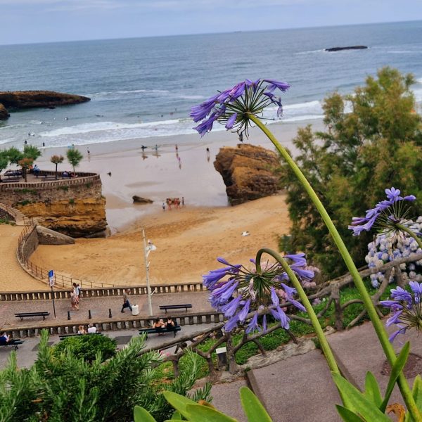 "View of the Atlantic shoreline along one of the scenic stops on the Basque Country tour through France and Spain, guided by author Toby Neal - Tour with Absolutely