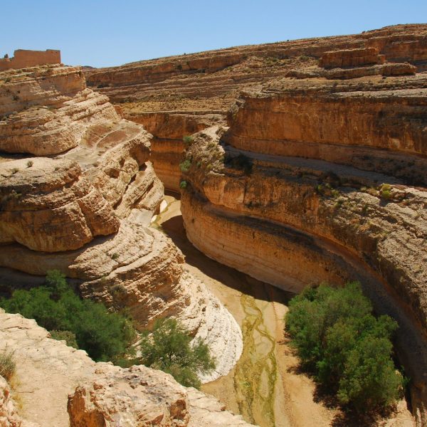 Tunisia & Algeria with ElderTreks