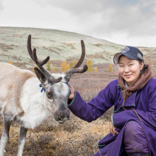 Young woman and reindeer - Eternal Landscapes