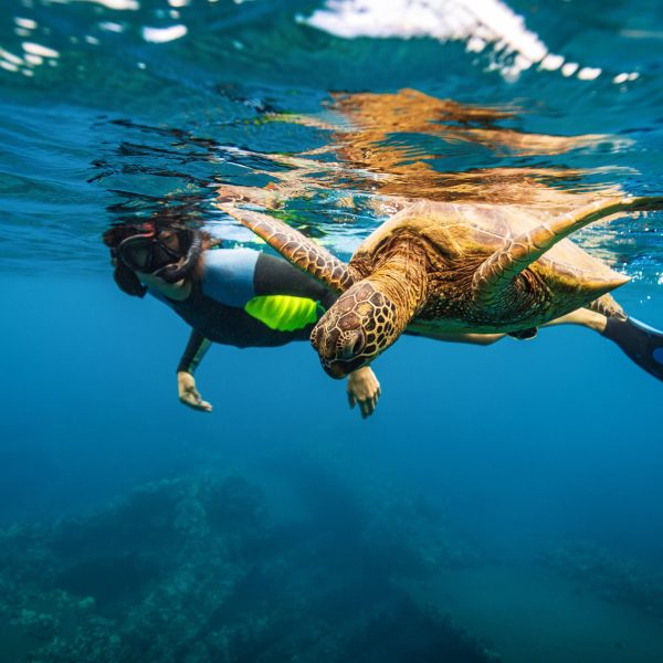 View of a woman snorkling with a sea turtle on Galápagos Islands: Wildlife Cruise by Private Yacht by AdventureWomen.