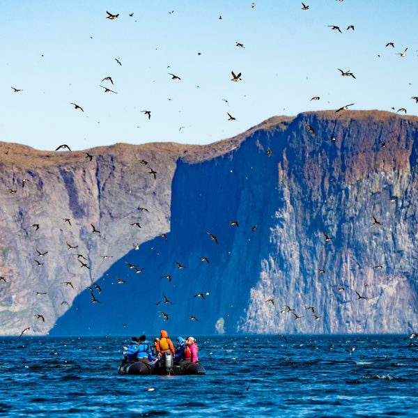 Group of people in a small inflatable boat on the ocean, surrounded by a flurry of seabirds with towering, rugged cliffs in the background.