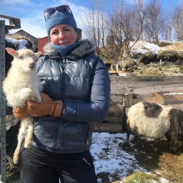 Iceland Knitting Tour Workshops, Northern Lights & Réttir Sheep Round Up Experience