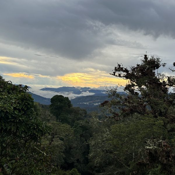 The view from a room at Paraiso Quetzal Lodge in Copey, Costa Rica, recommended as a safe place for women to stay by a JourneyWoman reader.