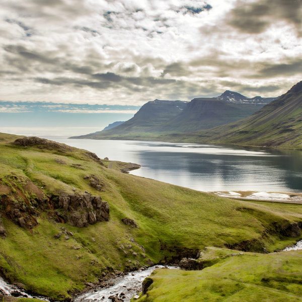 Scenic view of Iceland's dramatic coastline featuring lush green hills, cascading streams, and a serene fjord.