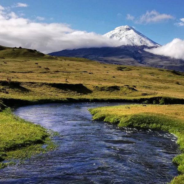 Snow-capped volcano in the background with a clear blue sky.