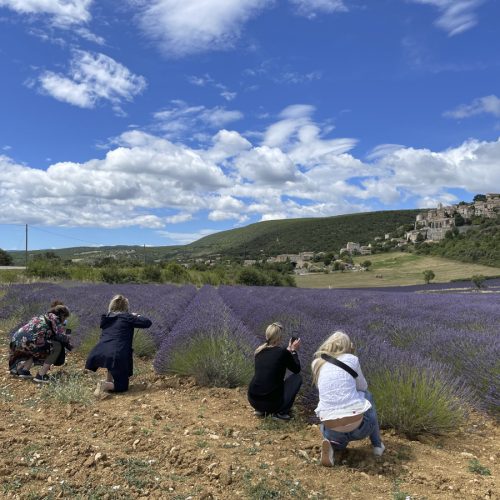 Lavender-tour-Promo-images-27